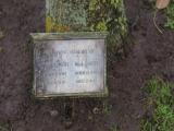 image of grave number 529066